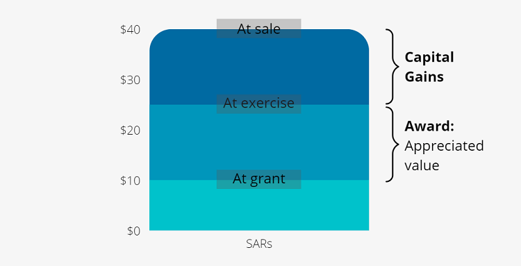 How do SARs work?