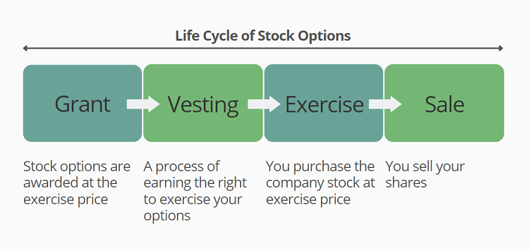 exercise-stock-options