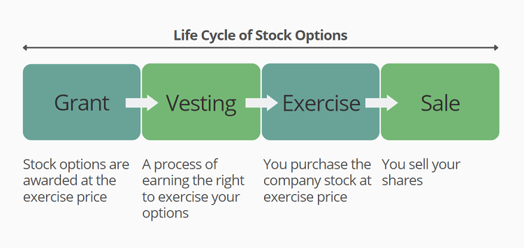 Exercising stock options