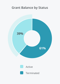 Grant balance by status